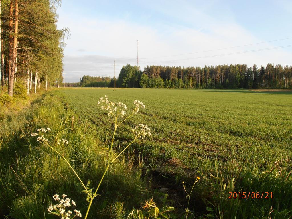 Kalliomajat Ylivalli Exteriör bild