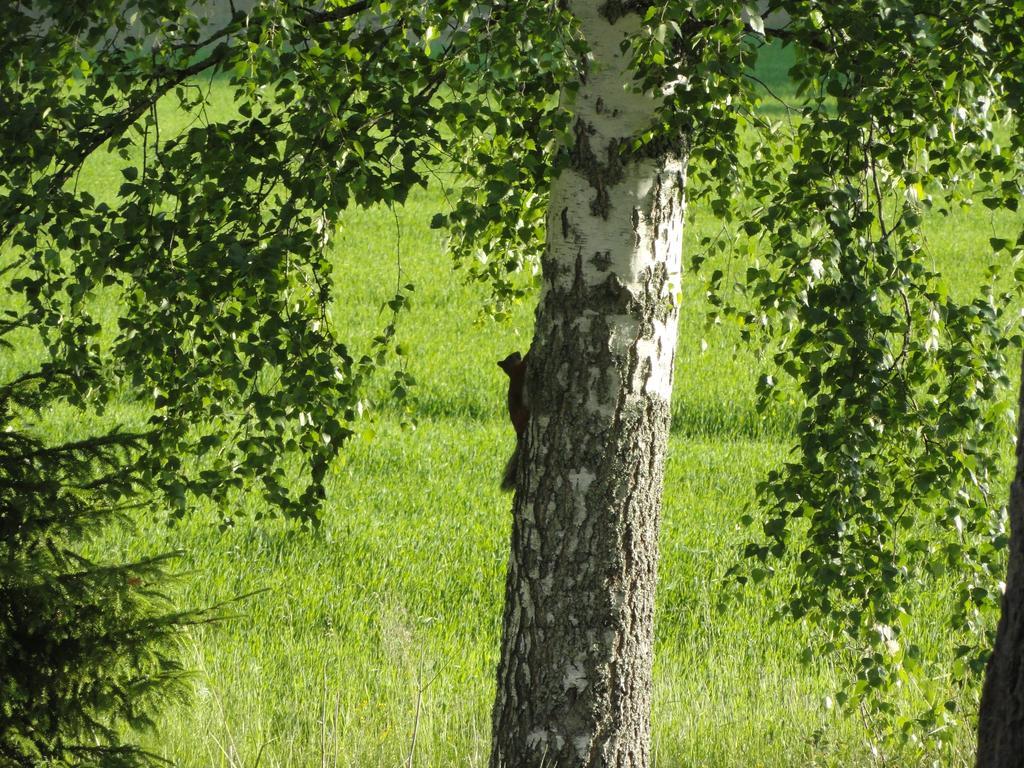 Kalliomajat Ylivalli Exteriör bild